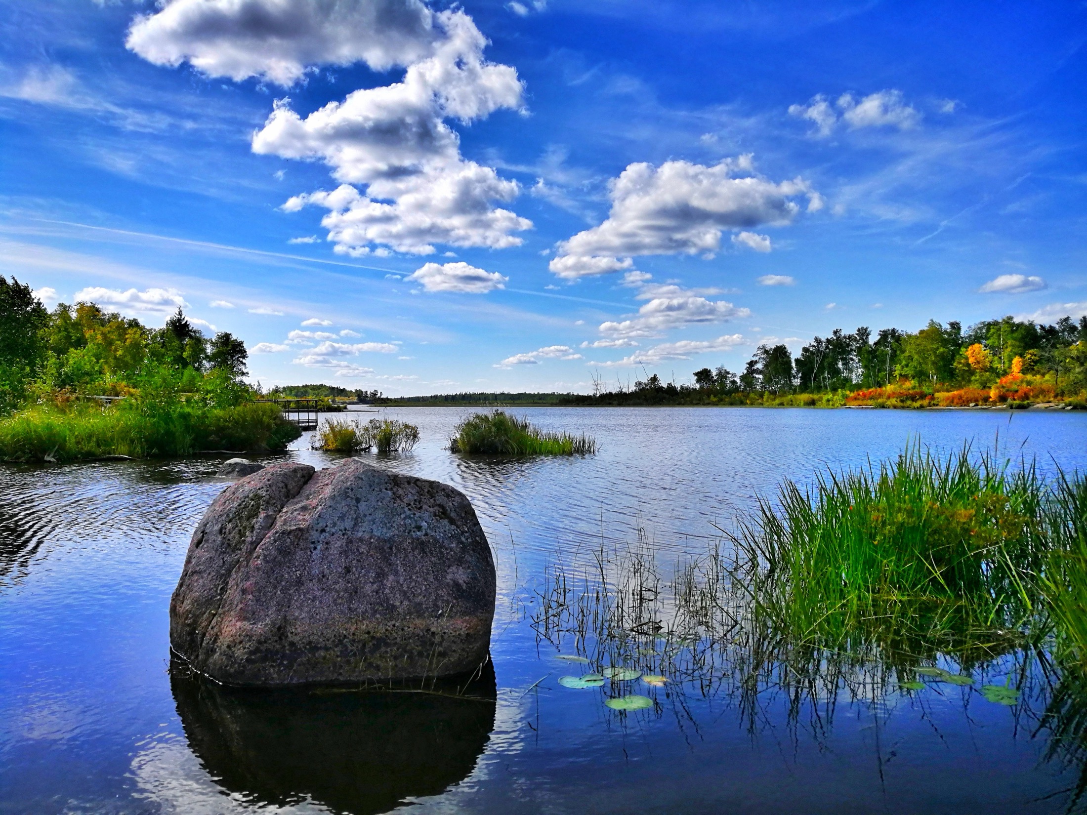 Whiteshell River surrounded by forest